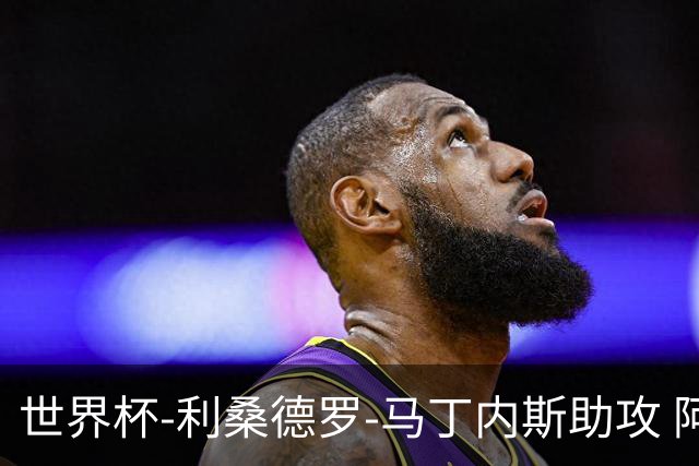 世界杯-利桑德罗-马丁内斯助攻 阿根廷半场暂1-0佛得角